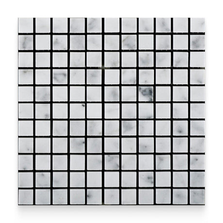 1x1 Carrara White Honed Square Mosaic