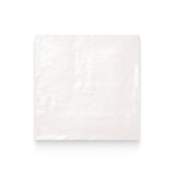 Magma 4x4 White Glossy Square Tile