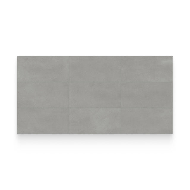 Masterplan 24x48 Ash Matte Rectangle Tile