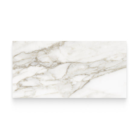 Riviera 12x24 Calacatta Paonazzo Polished Rectangle Tile