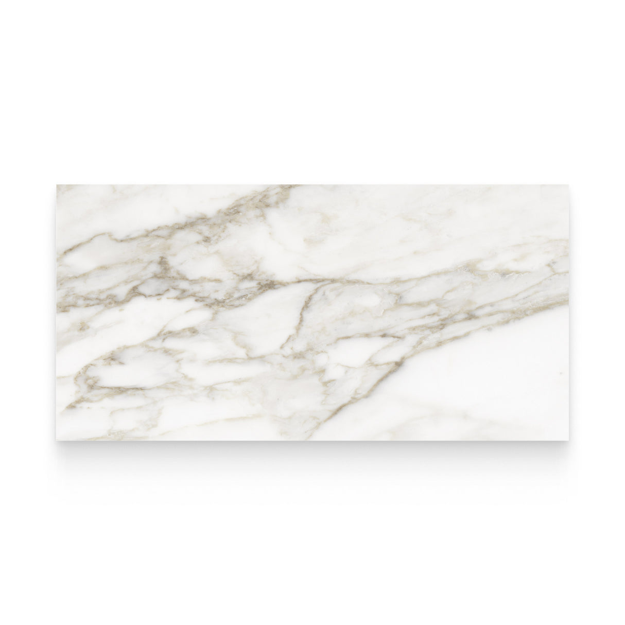 Riviera 24x48 Calacatta Paonazzo Polished Rectangle Tile