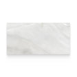 Riviera 12x24 Onyx Nuvolato Polished Rectangle Tile