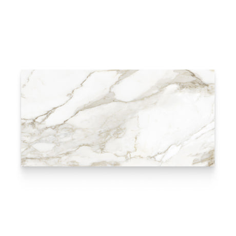 Riviera 24x48 Calacatta Paonazzo Honed Rectangle Tile