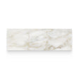 Riviera 4x12 Calacatta Paonazzo Polished Rectangle Tile