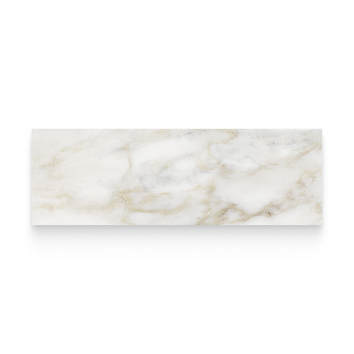 Riviera 4x12 Calacatta Paonazzo Polished Rectangle Tile