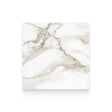 Riviera 24x24 Calacatta Paonazzo Polished Square Tile