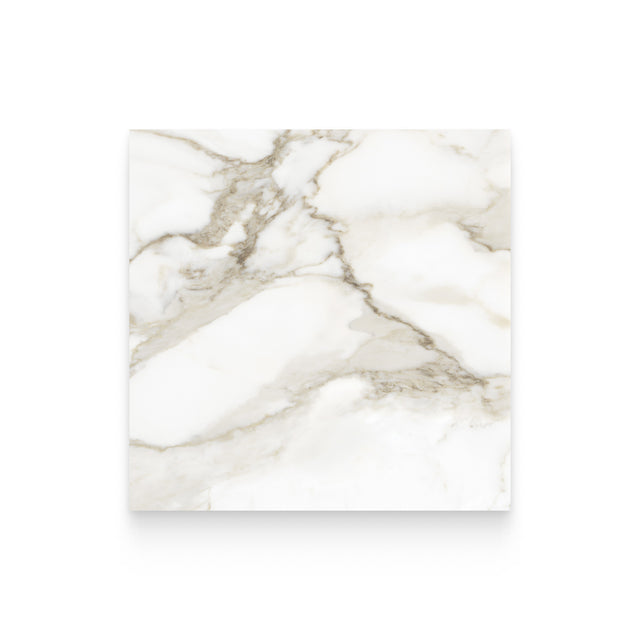 Riviera 24x24 Calacatta Paonazzo Polished Square Tile