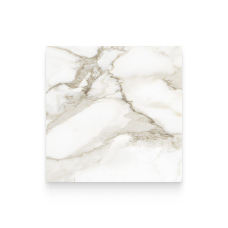 Riviera 24x24 Calacatta Paonazzo Honed Square Tile