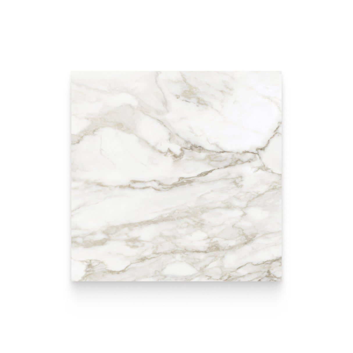 Riviera 32x32 Calacatta Paonazzo Polished Square Tile