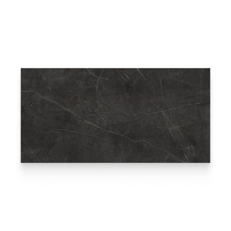 Riviera 24x48 Nero Venato Polished Rectangle Tile