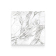 Riviera 24x24 Arabescato Polished Square Tile