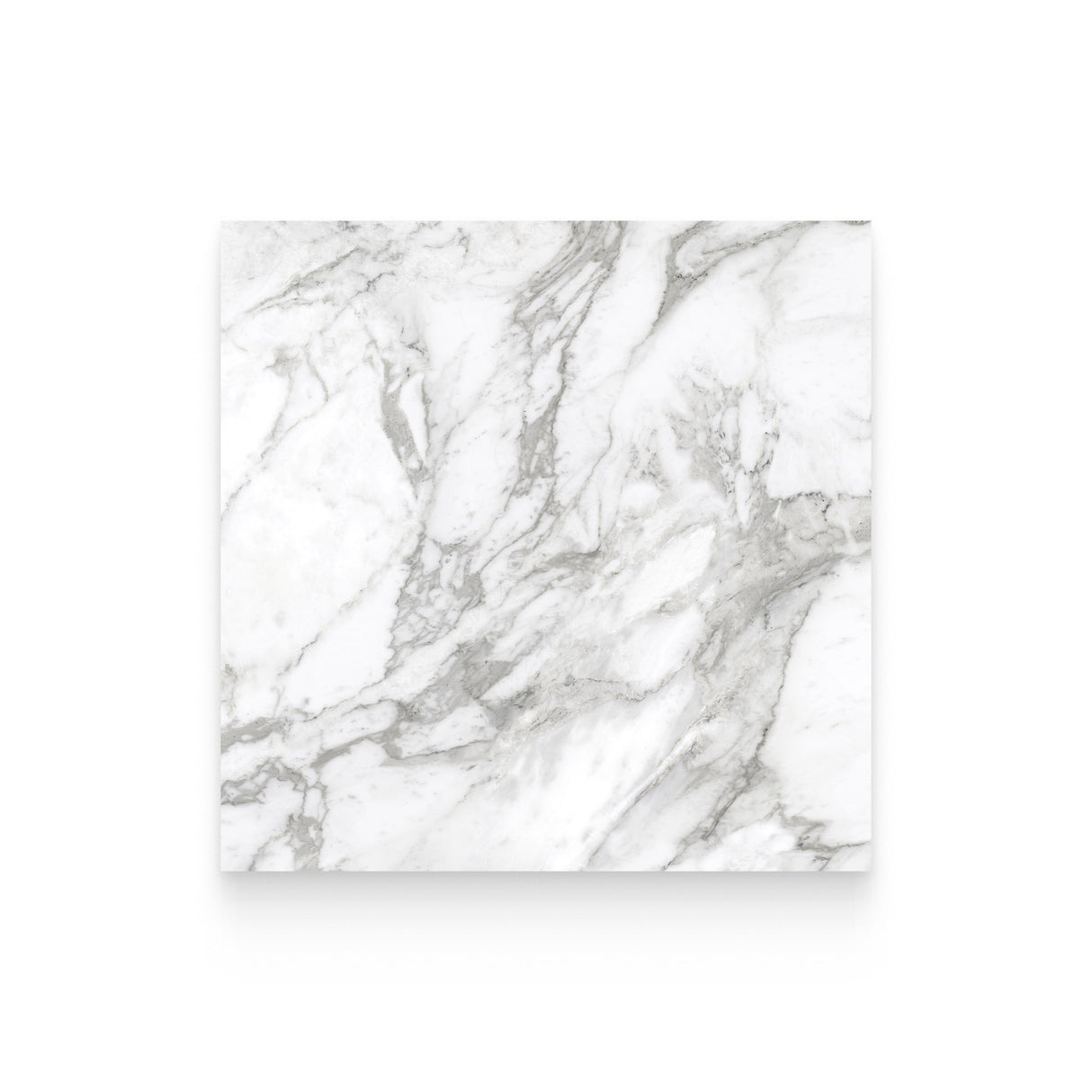 Riviera 24x24 Arabescato Polished Square Tile