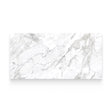 Riviera 24x48 Arabescato Polished Rectangle Tile