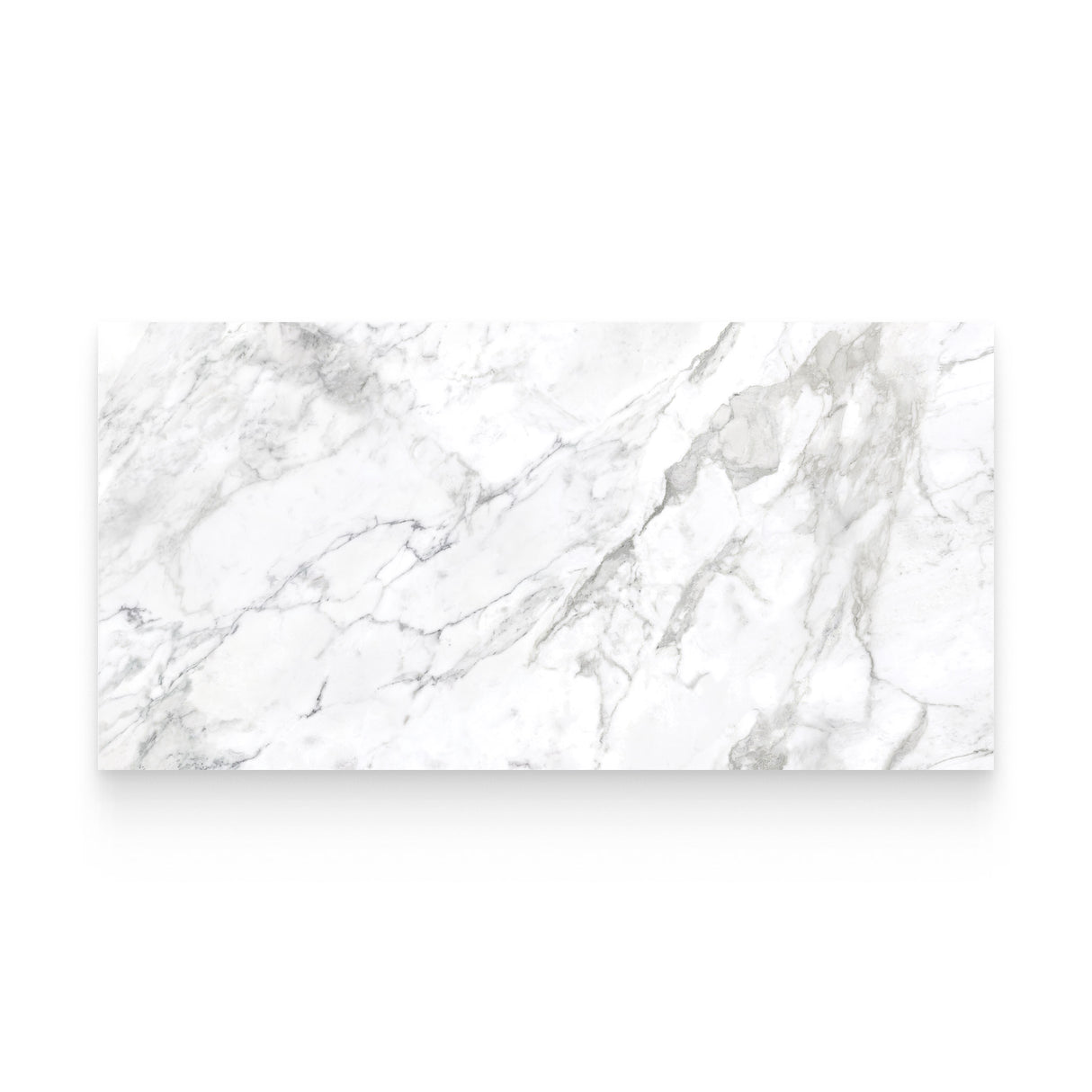 Riviera 24x48 Arabescato Polished Rectangle Tile