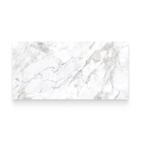 Riviera 24x48 Arabescato Polished Rectangle Tile