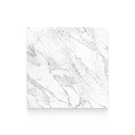 Riviera 24x24 Statuarietto Polished Square Tile