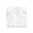 Riviera 32x32 Statuarietto Honed Square Tile