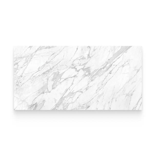 Riviera 24x48 Statuarietto Polished Rectangle Tile