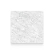 Riviera 32x32 Carrara Gioia Polished Square Tile