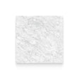 Riviera 32x32 Carrara Gioia Honed Square Tile