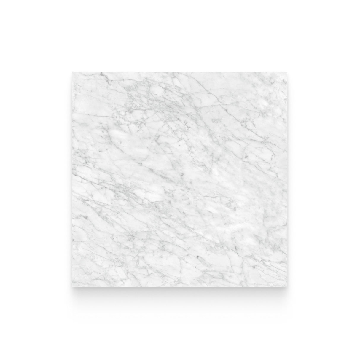 Riviera 32x32 Carrara Gioia Honed Square Tile