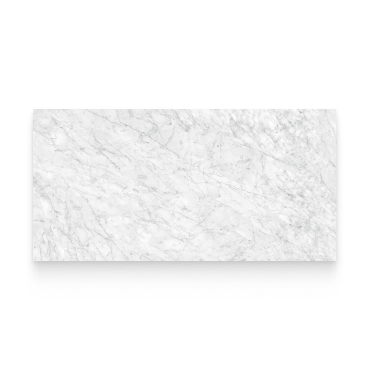 Riviera 24x48 Carrara Gioia Polished Rectangle Tile