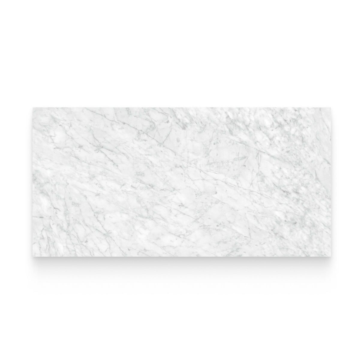 Riviera 24x48 Carrara Gioia Honed Rectangle Tile