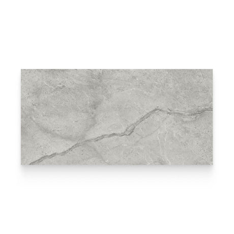 Riviera 12x24 Paradiso Argento Honed Rectangle Tile