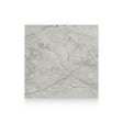 Riviera 24x24 Paradiso Argento Polished Square Tile