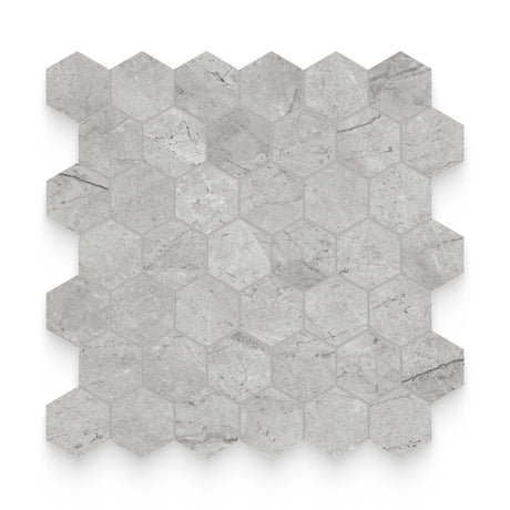 Riviera 2x2 Paradiso Argento Honed Hexagon Mosaic