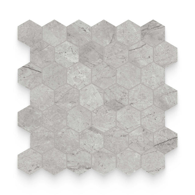Riviera 2x2 Paradiso Argento Honed Hexagon Mosaic