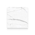 Riviera 32x32 Statuario Nuovo Polished Square Tile