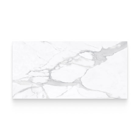 Riviera 24x48 Statuario Nuovo Honed Rectangle Tile