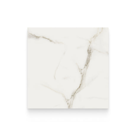 Cosmopolitan 24x24 Calacatta Oro Polished Square Tile