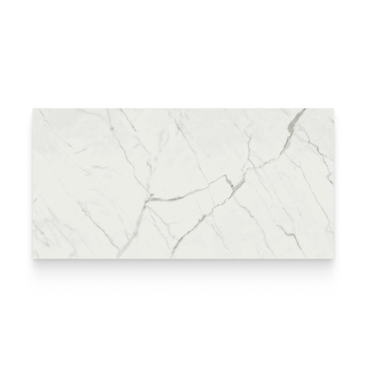 Cosmopolitan 24x48 Statuario Venato Polished Rectangle Tile