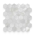Broadway 2x2 Onyx Crystallo Matte Hexagon Mosaic