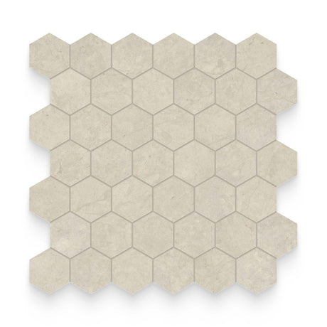 2x2 Mojave Dunes Honed Hexagon Mosaic