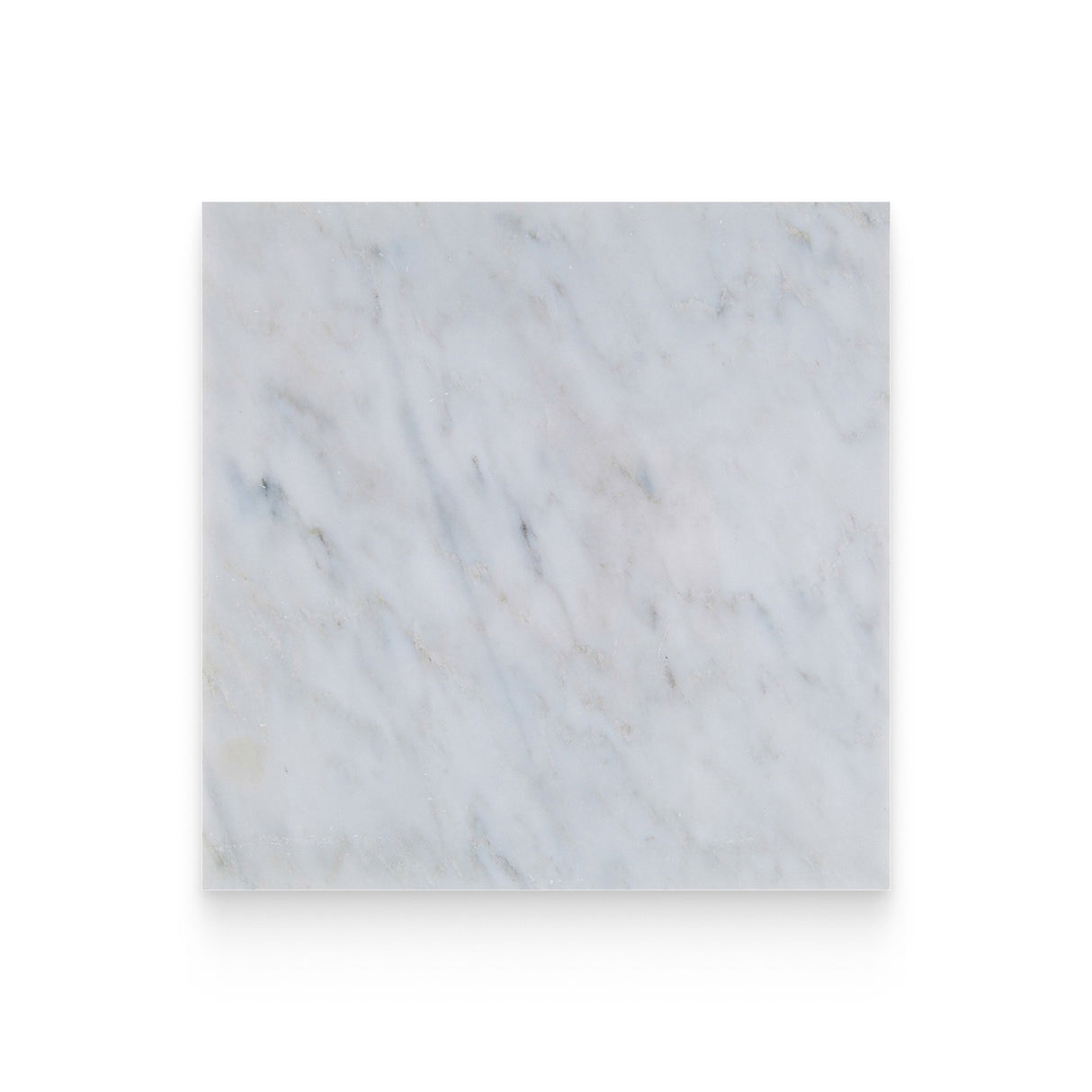 12x12 Bianco Bello Polished Square Tile