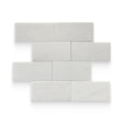 3x6 Thassos White Honed Rectangle Tile